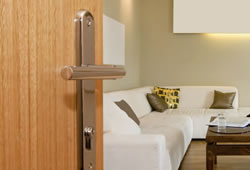 Luxury Doors