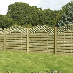 Trellis Fencing